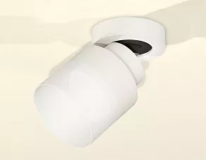 Спот Ambrella XM XM8101021