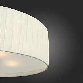 Накладной светильник ST-Luce Rondella SL357.502.05
