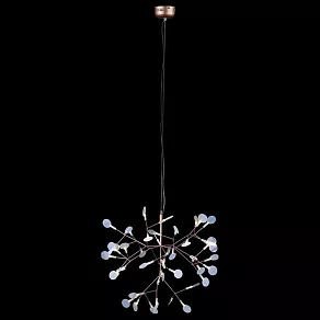 Подвесная люстра Loft it Heracleum 9022-45