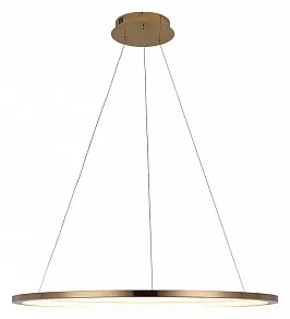 Подвесной светильник Loft it Ring 10014L