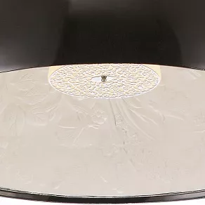 Подвесной светильник Arte Lamp Rome A4176SP-1BK
