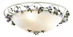 Накладной светильник Odeon Light Tender 2796/3C
