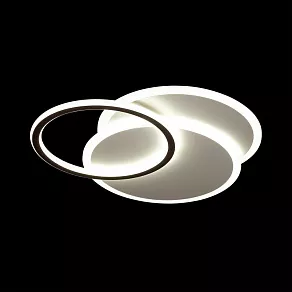Накладной светильник Lumion Harmony 4502/85CL
