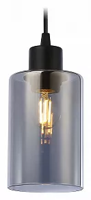 Подвесной светильник Ambrella TR TR3695