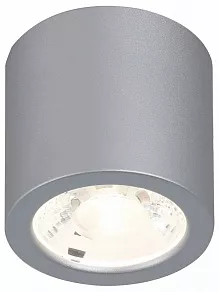 Накладной светильник Favourite Deorsum 2808-1C