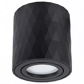 Накладной светильник Arte Lamp Fang 2 A5559PL-1BK