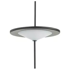 Подвесной светильник Odeon Light Steka 5012/10L