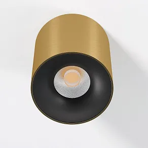 Накладной светильник Elektrostandard Primo a069413