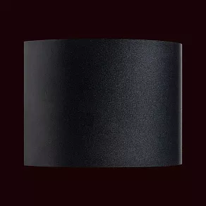 Накладной светильник Lightstar Dalla 340557
