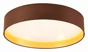 Накладной светильник EVOLUCE Brescia SLE300592-01