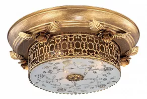 Накладной светильник Odeon Light Capua 2642/3C