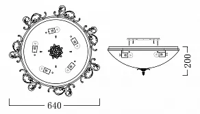 Накладной светильник Maytoni Speria CL900-05-G