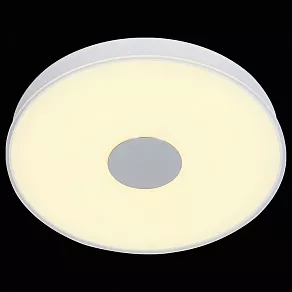 Накладной светильник ST-Luce Semplicita SL473.502.01D