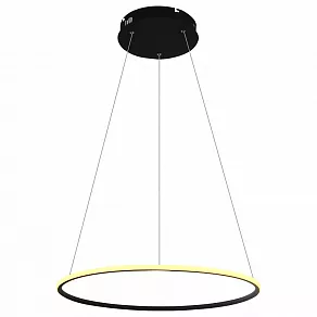 Подвесной светильник Arte Lamp 2500 A2500SP-1BK