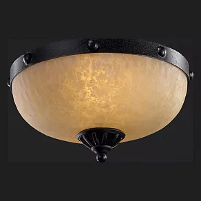 Накладной светильник L'Arte Luce Fort L50352.46