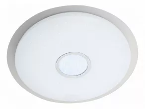 Накладной светильник ST-Luce Funzionale SLE350.112.01