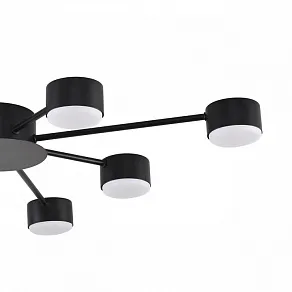 Потолочная люстра Lumion TORINA 8344/8C