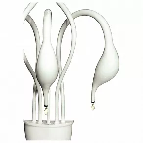 Бра Lightstar Cigno Collo 751656