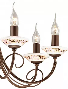 Подвесная люстра Odeon Light Riva 2529/7