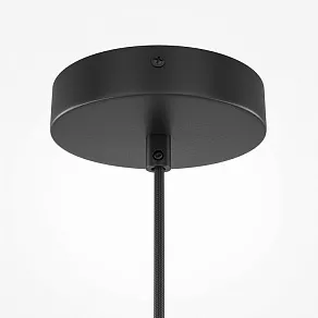 Подвесной светильник Maytoni Roots MOD195PL-01W