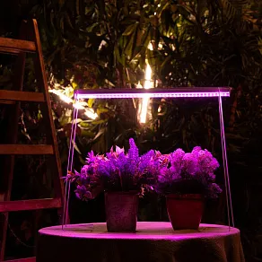 Светильник для растений Uniel ULI-P20 UL-00002991