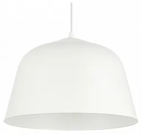 Подвесной светильник EVOLUCE Blank SLE1805-503-01