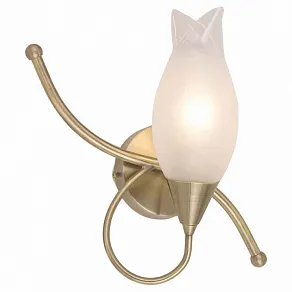 Бра Odeon Light Ammania 1319/1W