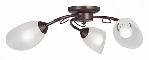 Потолочная люстра Vitaluce V3715 V3715/3PL