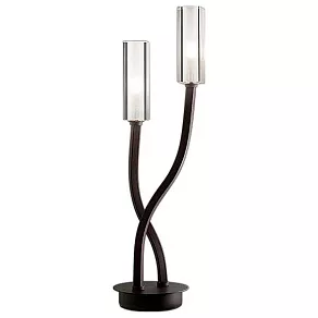 Настольная лампа декоративная Odeon Light Moden 2010/2T