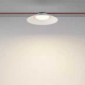 Подвесной светильник Maytoni Campana TR127B-12W3K-W