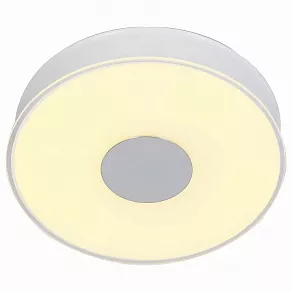 Накладной светильник ST-Luce Semplicita SL473.052.01