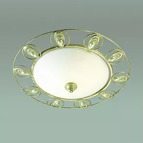 Накладной светильник Odeon Light Kanti 3483/2C