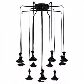 Подвесная люстра Favourite Leo 1727-12P