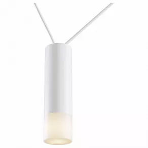 Подвесной светильник Maytoni Davida MOD035PL-02W