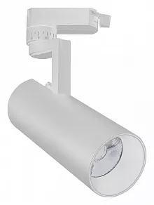 Светильник на штанге Escada 20029 20029TRA/02LED SWH