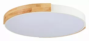 Накладной светильник EVOLUCE Delia SLE201352-01
