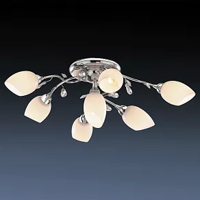 Потолочная люстра Odeon Light Fiera 1603/7