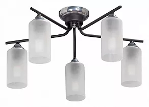 Потолочная люстра Vitaluce V4753 V4753-1/5PL