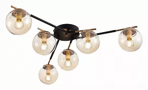 Потолочная люстра EVOLUCE Literno SLE106902-06