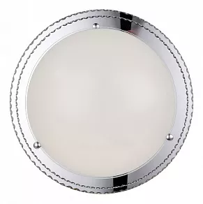 Накладной светильник ST-Luce Universale SL494.552.01