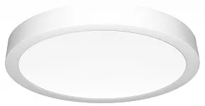 Накладной светильник Citilux Галс CL5522N