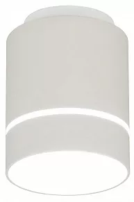 Накладной светильник Citilux Борн CL745010N