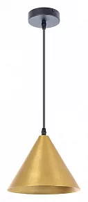 Подвесной светильник Arte Lamp David A7033SP-1BK