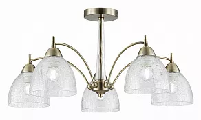 Люстра на штанге EVOLUCE Nuele SLE104402-05