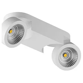 Накладной светильник Lightstar Snodo 055264