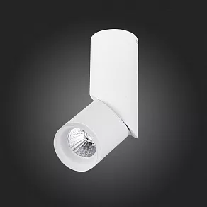 Спот ST-Luce Tortelle ST107.542.10