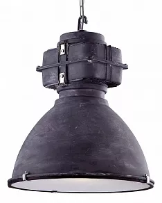 Подвесной светильник Arte Lamp Loft A5014SP-1BG