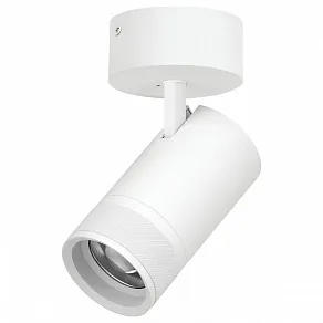 Спот Lightstar Canno Pro C4406SO