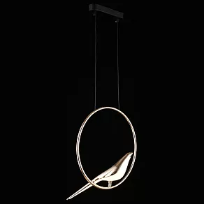 Подвесной светильник Aployt Astor APL.822.06.10