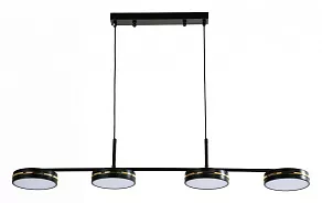 Подвесной светильник F-promo Disco 4042-4P